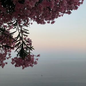 Meet your Posher, Catalina